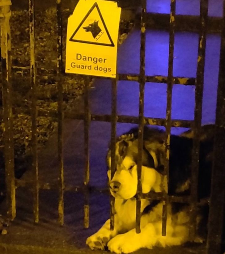 378792534fb0e72344677b81c9