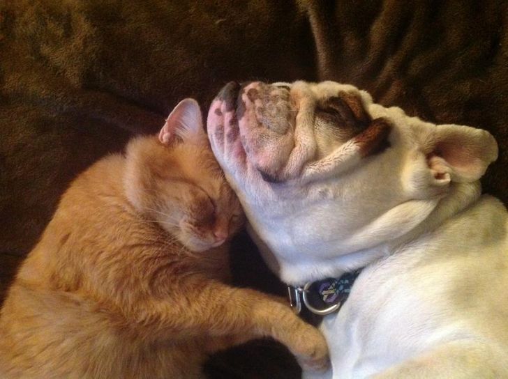 3789c4557586a0c2f74ff74383