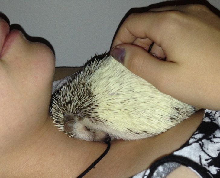 37901c5169bc52dd67e78d660c