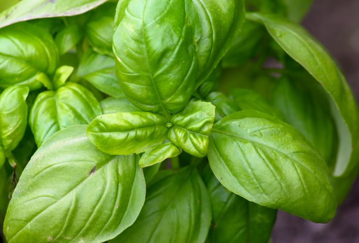 37918251c79b58e2791f8a7ea9