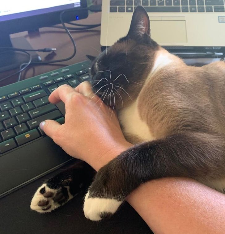 3793465c2fbc9c733c73e9c79f