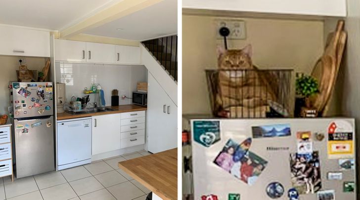 3794aa5f3cbc0c433516826dad