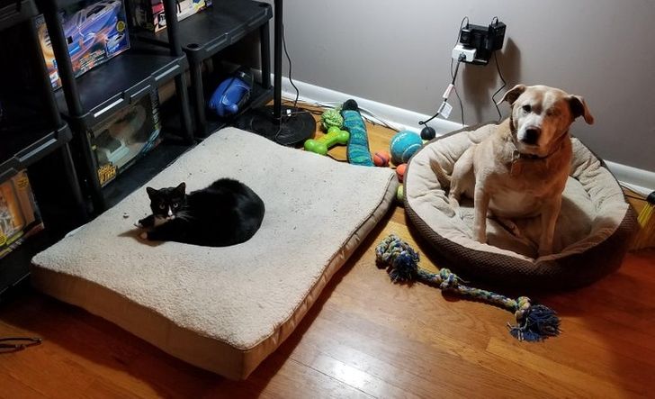 37961159c6a8566e4c8ce82008