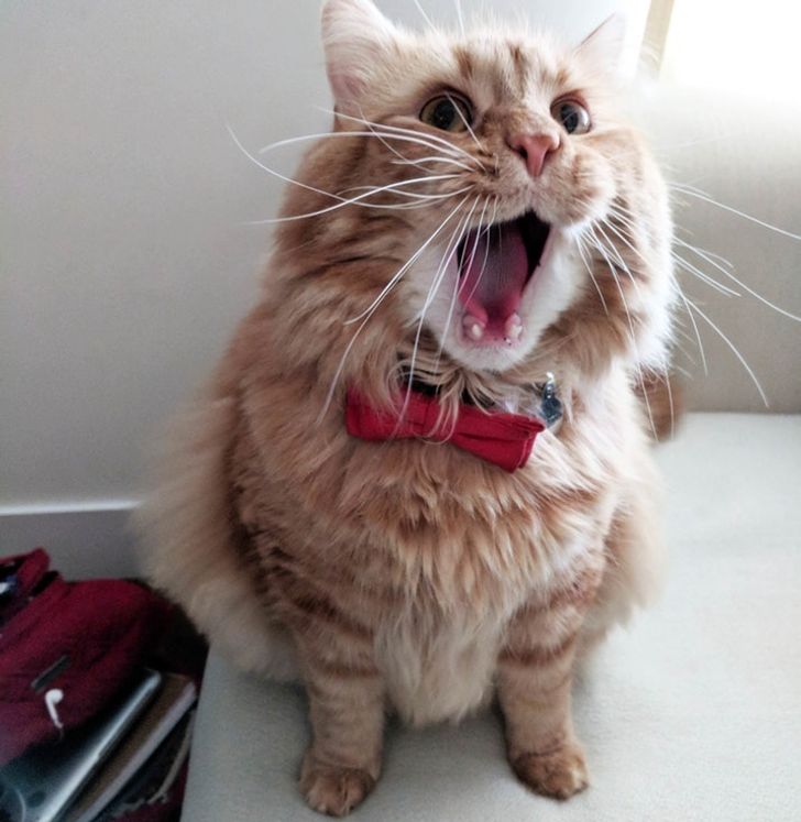 37965f554a8a3eb58ee22e1c33