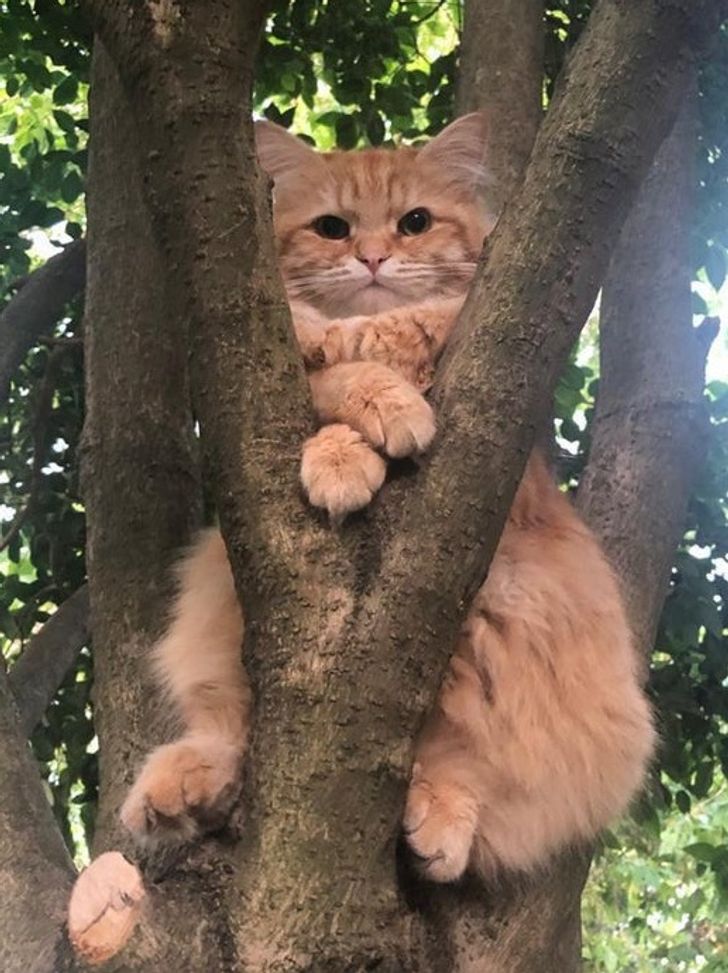 37a37859feb4457ba1964c6e41