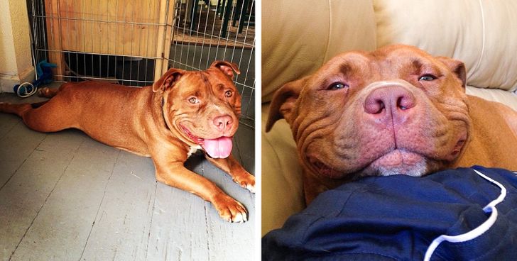 37a77c549c89fe150f01176707