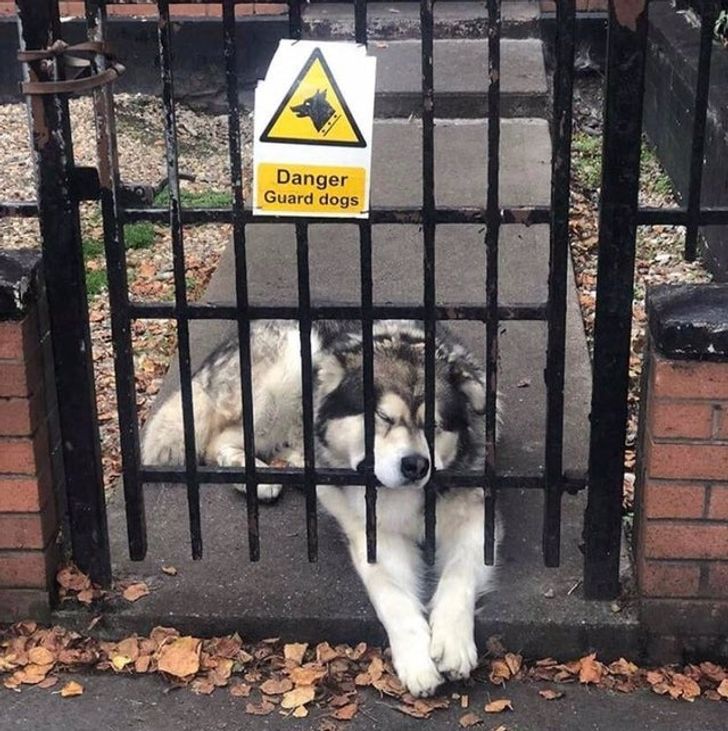 37aa425c389b6541db1b26d341