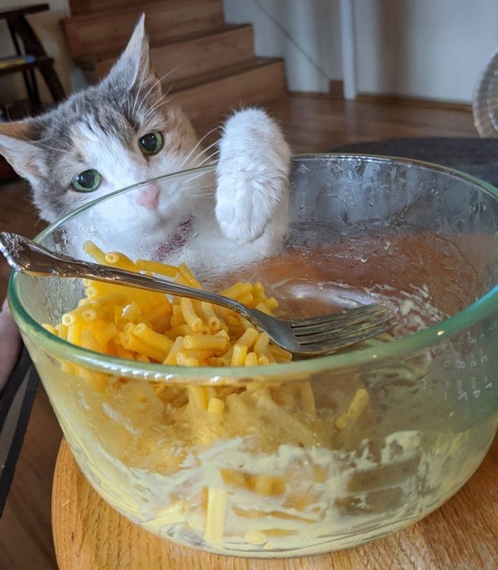 37ae2f56a78dae8f4deeacbf2b