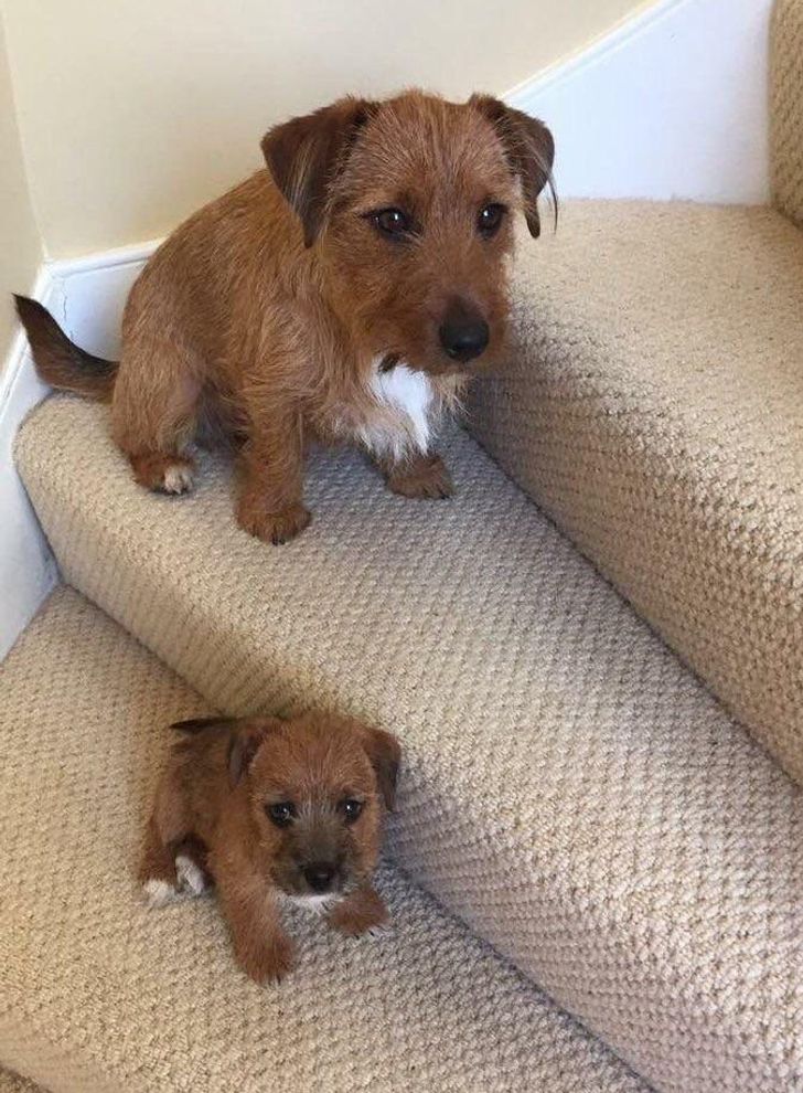 37af8a5b3bbc3b7e6f6ff4652f