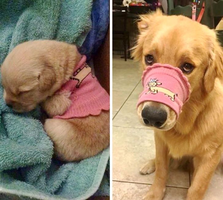 37b30454328df371a042f5ef03