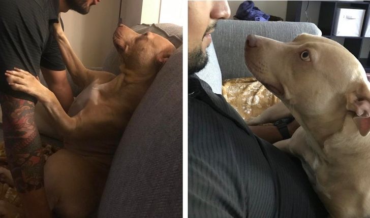 37be825f45b6b9a5f7340dc69b