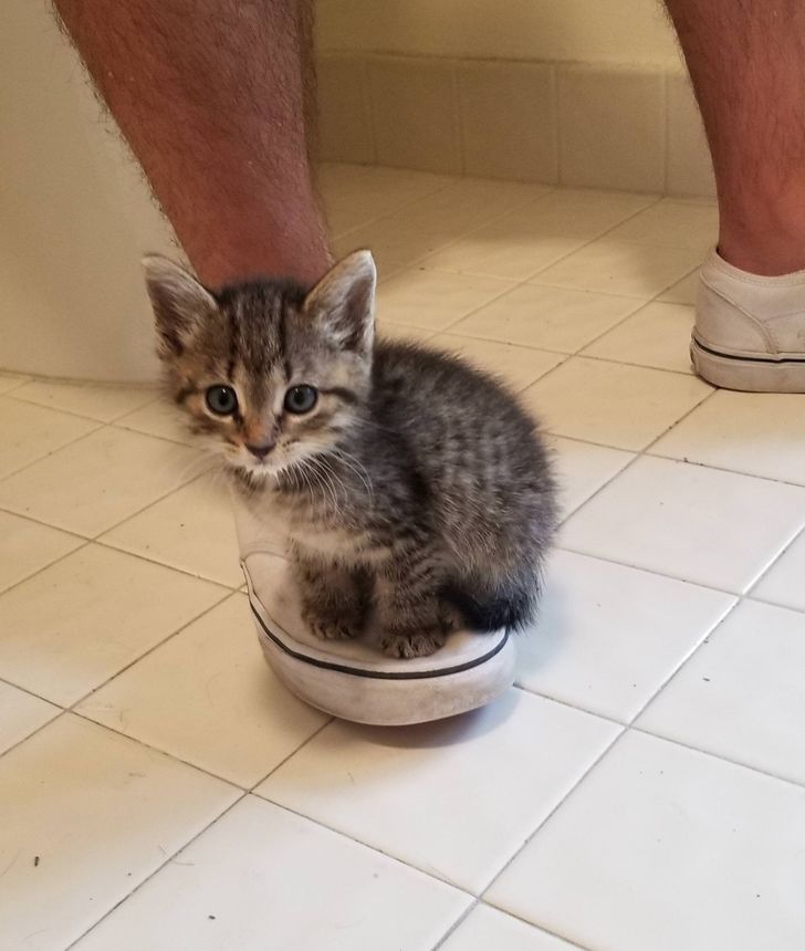 37c0b15d74a6156fbd5e554f5b