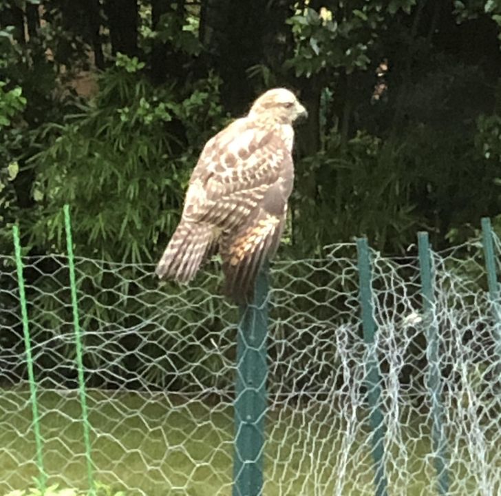 37c84856ec860a3340fac7c1dd