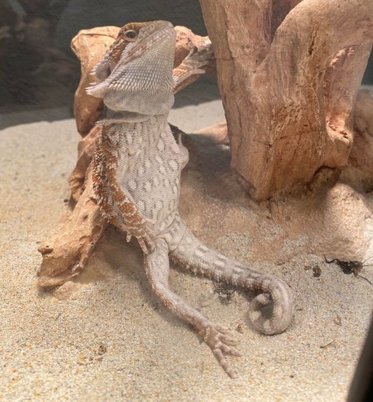 37ce025f9e806d42483a900cb3