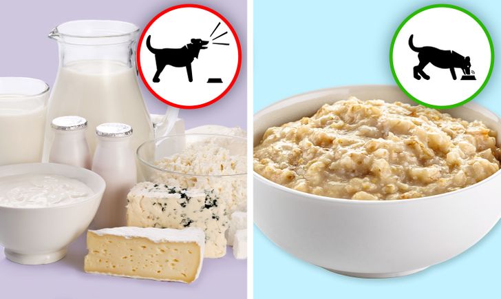 37ce355ef6a023ef43112f6838