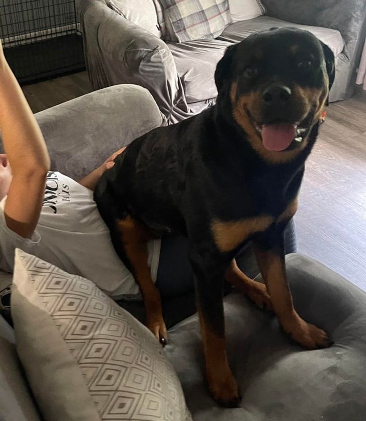 37ce8452a09750d0c3b989e1de