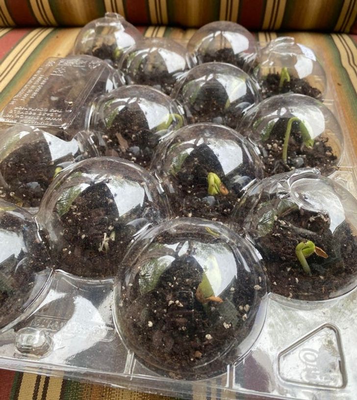 37d90c5b39aa0224dbcd5231ad