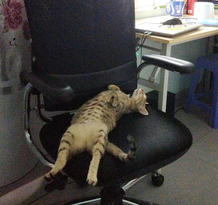 37ddbb5addbdae844c52eac2e1