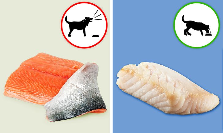 3800c553ab9840fbf20ae3a94f