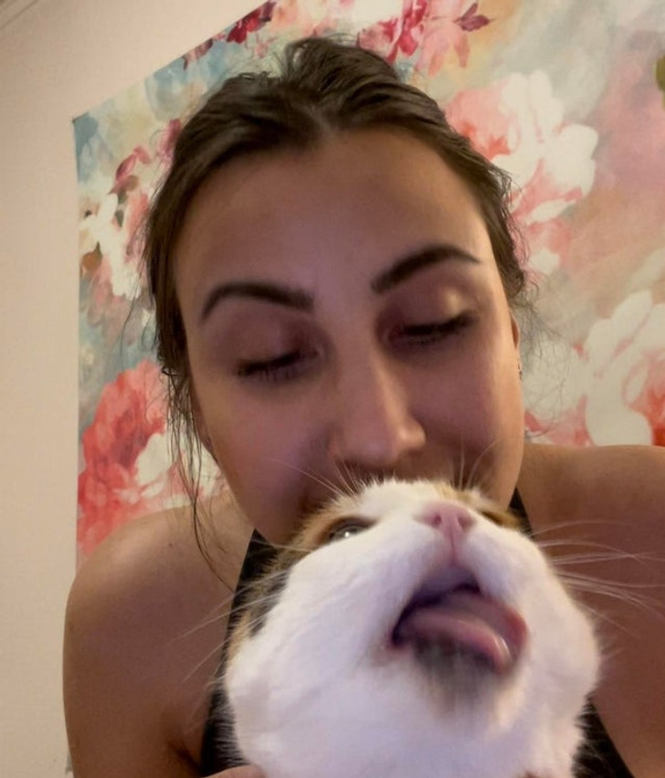 38077e53c8811e45a3cf6b7f27 38077e53c8811e45a3cf6b7f27