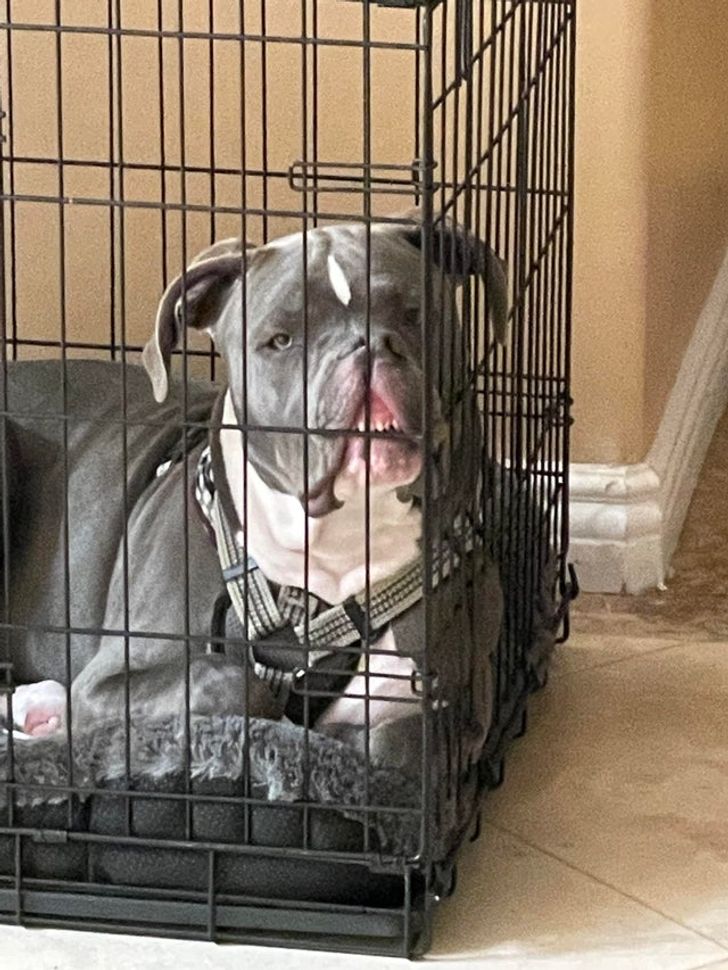 38079b5321a12dcfa92755973c