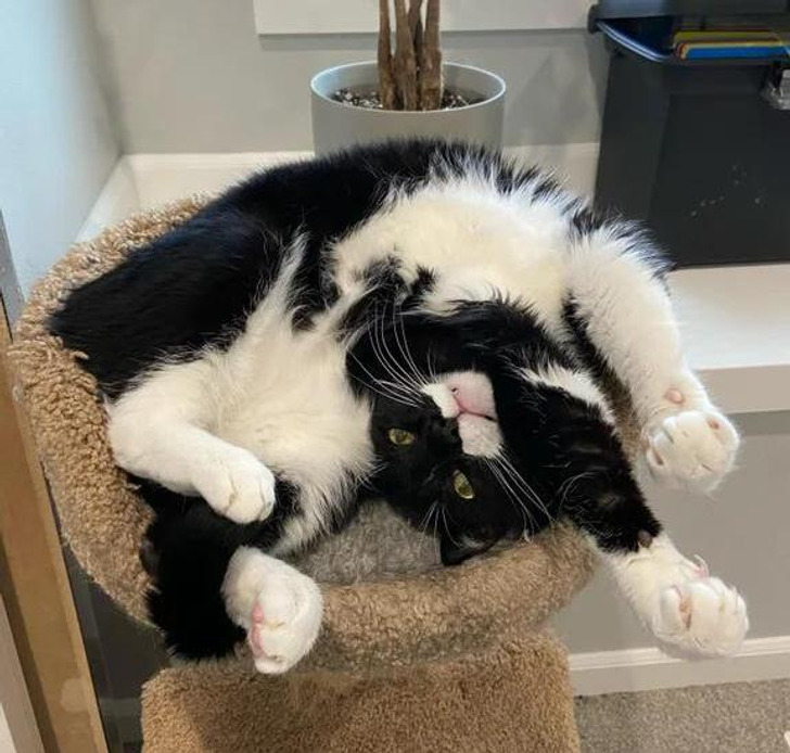 380934544c9c1127d782f4fc1a