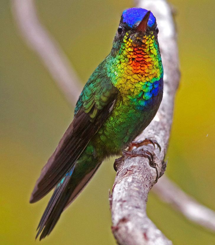 3809d3510dbacec7d88ec3b1f3