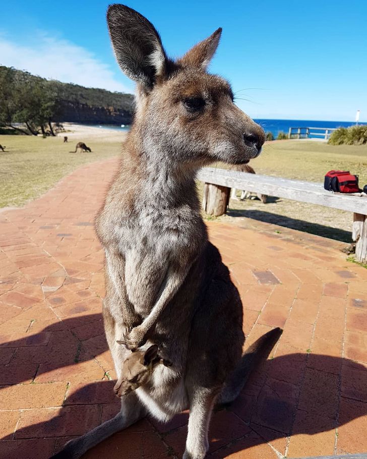 380d5a5de28e26360703325907