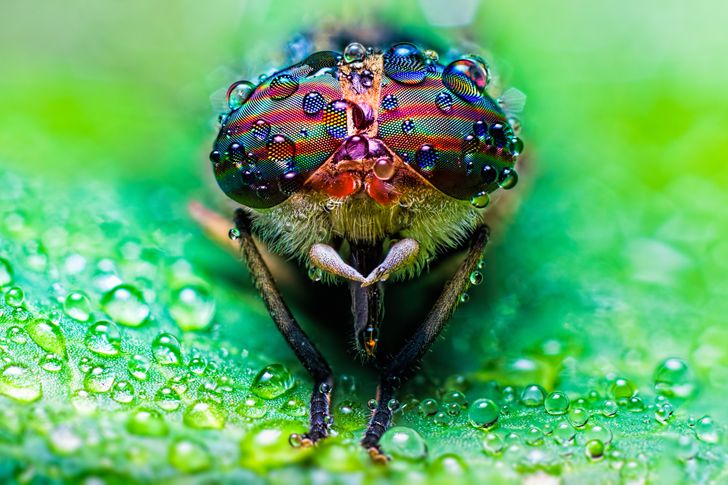 3813ea525798cce82b7a464c39