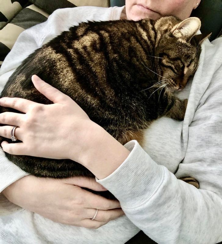 381d855286866817150fd58828