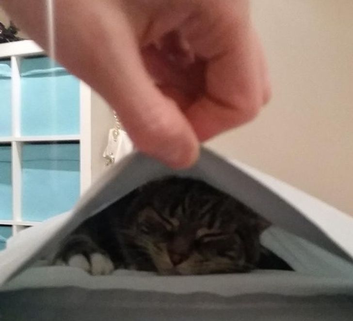 38238b5f38a8a2d2c76aa5e6d8