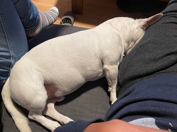 3823e55124b55896f7f260dd7a