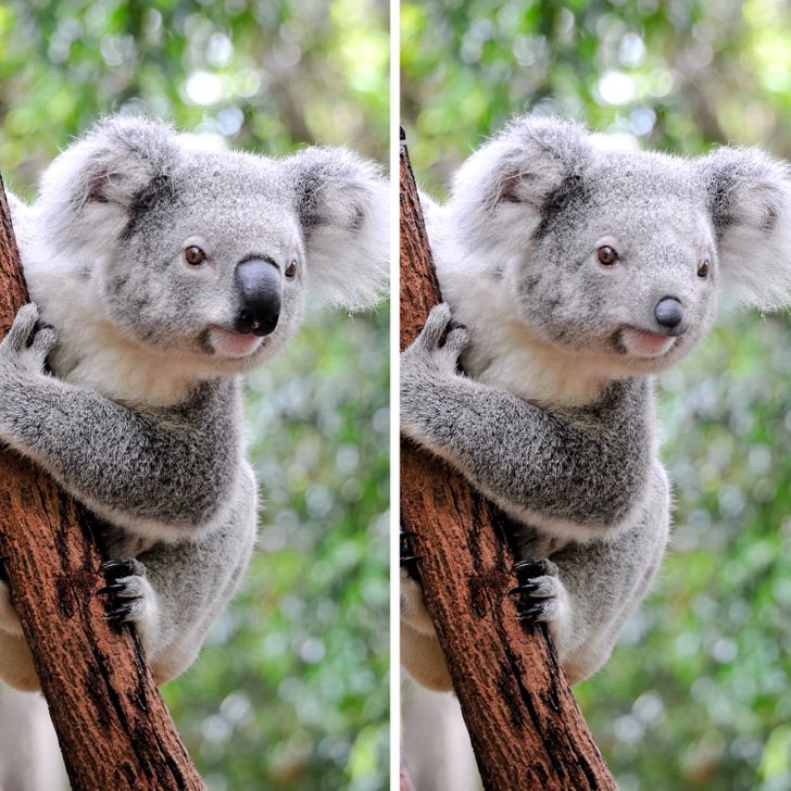 382b7b521c84c898dfe09b29de