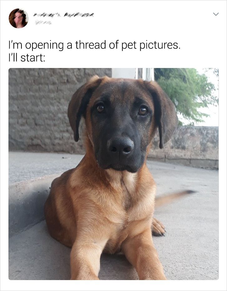 3831a65344ba5bc20358643f1e