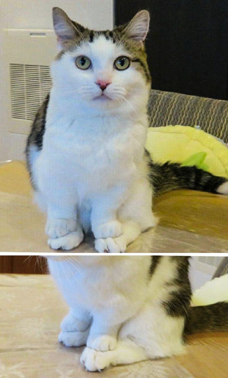 3833f95baaa078072a0b7114b7