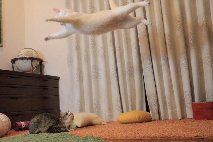 38342a5c5da230880f2aa8a6ac