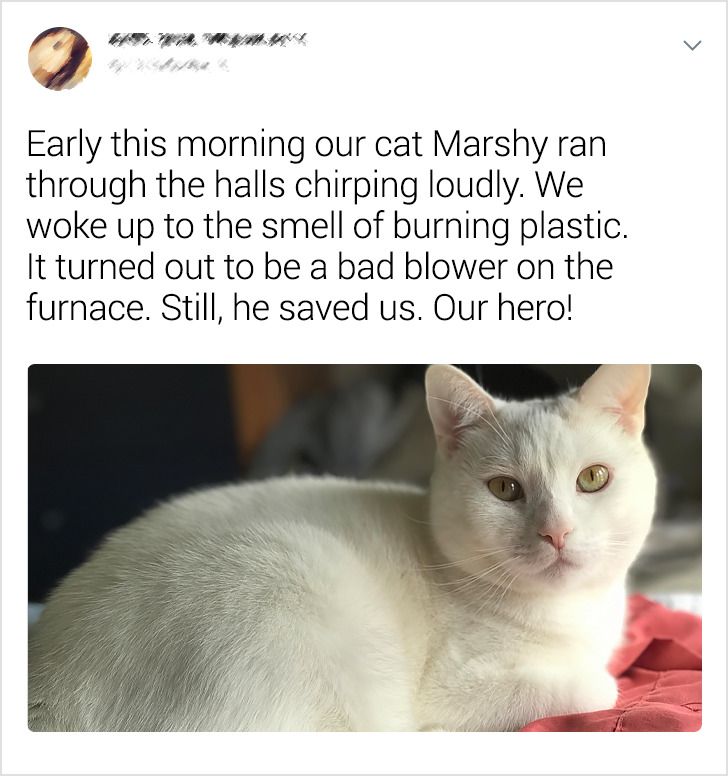 3835cb5e65a84c44abf92c708e