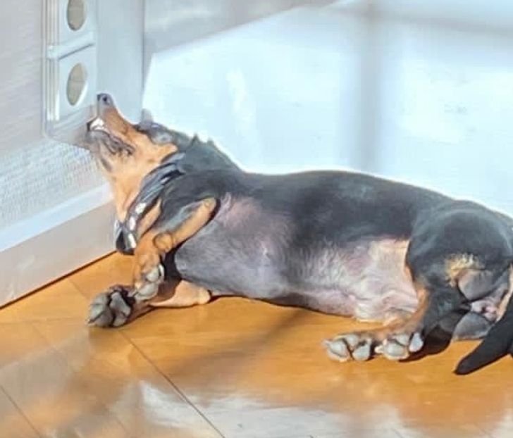 383d725ac68d87ec16364ce2ce 383d725ac68d87ec16364ce2ce