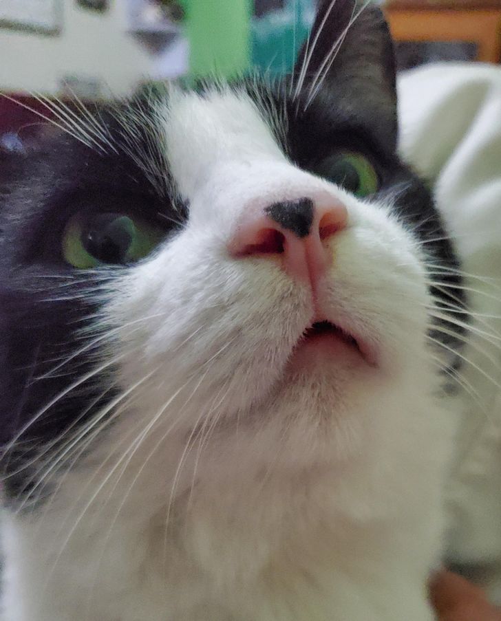 3843985e6c930ba4b504ab294c 3843985e6c930ba4b504ab294c