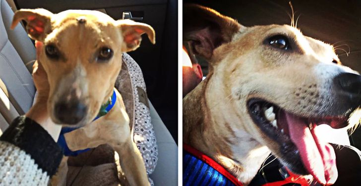 38534e5d53ac234ea73b472b9b