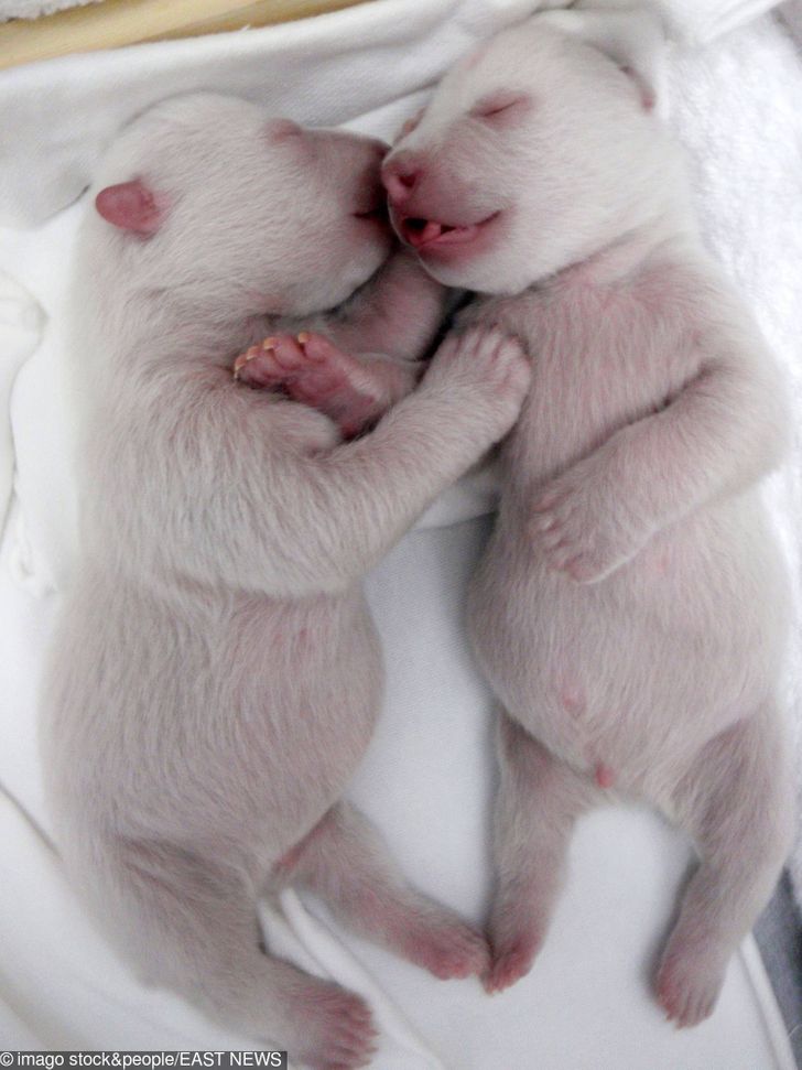 38549157ceab56c2d42e7d0b67