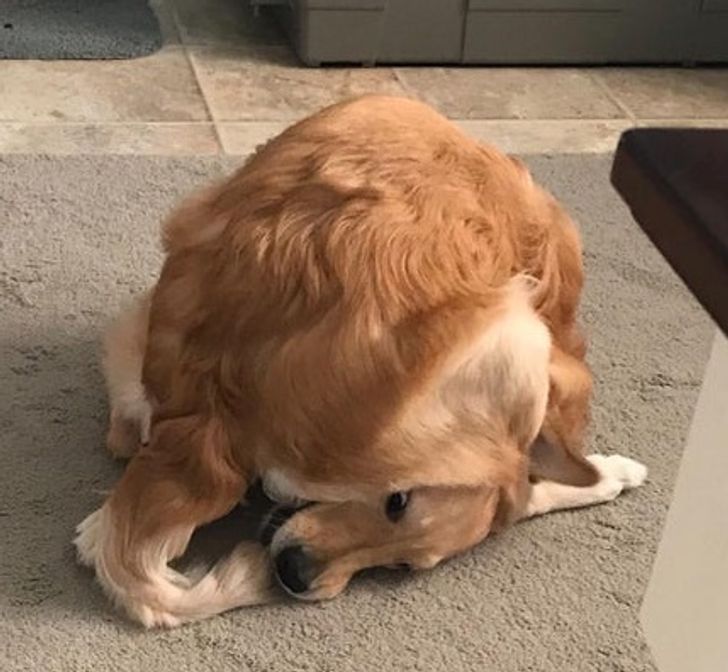 385ca05bb88a0802415e5c3b1d