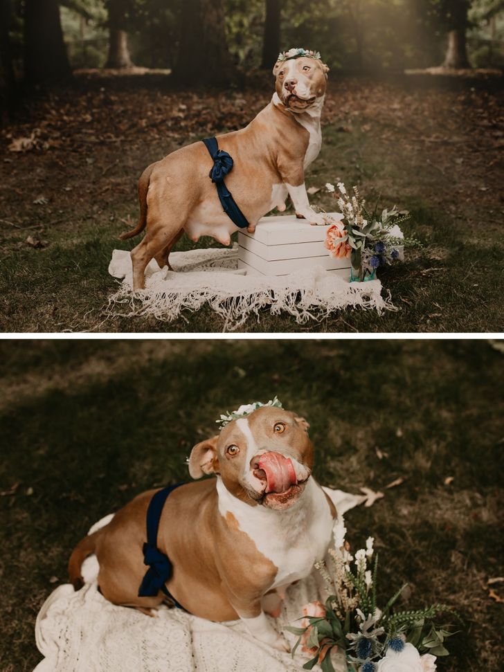 3860875bee85f715020773996a