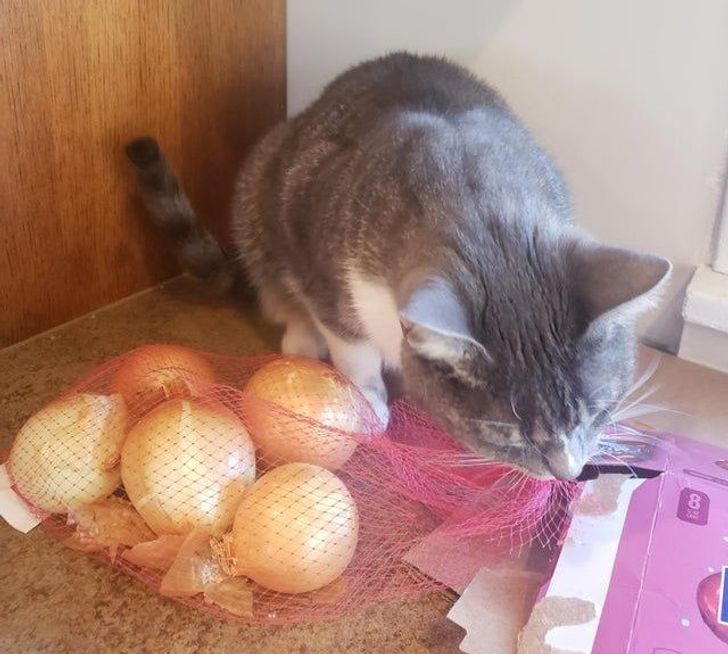 3861305777982d20b9edfc0e6a