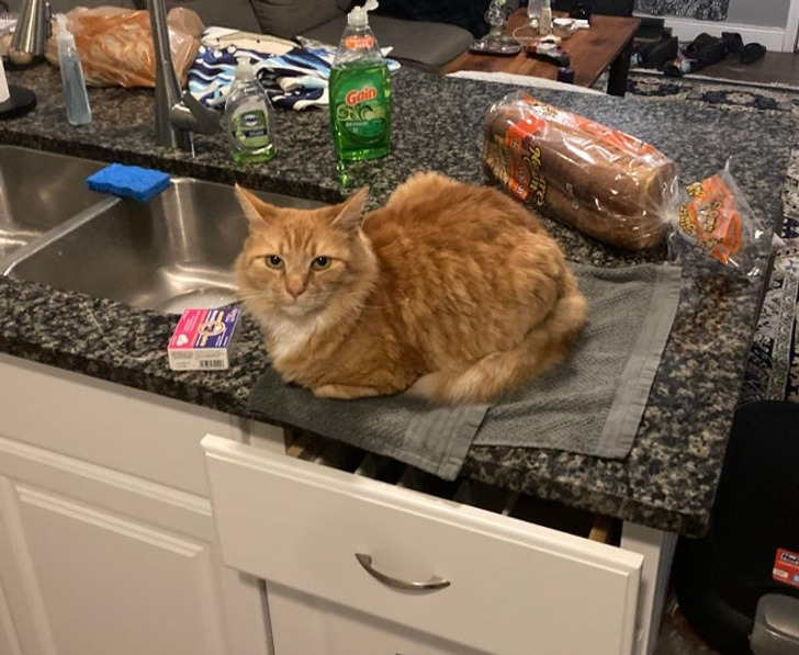 3862c25f2e9b978efef5c4bc4a 3862c25f2e9b978efef5c4bc4a