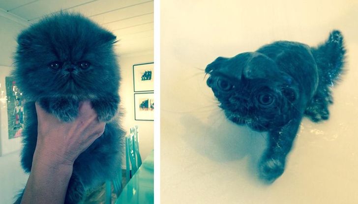 3866575d938e2095d5ed5f4f3f