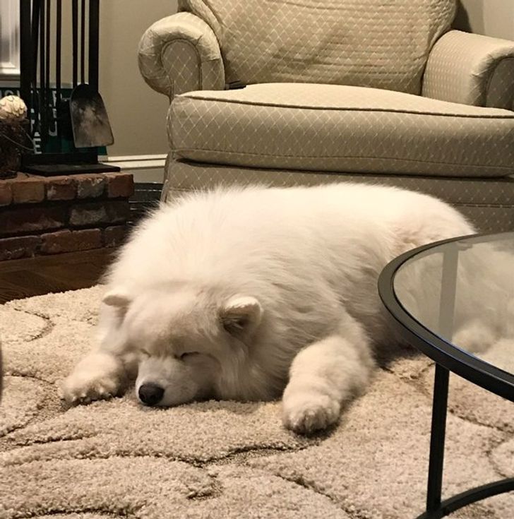 3872495163a3b1bb4b8385cf5c