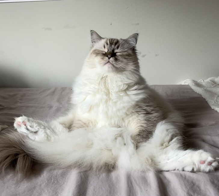 38761f54deb2bf04aced66f2ff