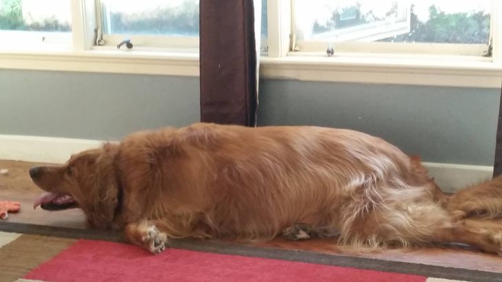 3879c35f2881f906a4d0428a4c