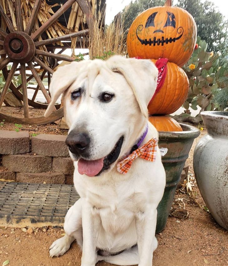 38826652098f3717149a184fbe